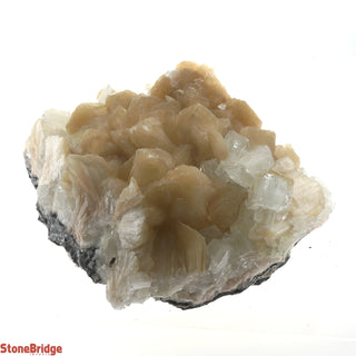 Zeolite on Basalt Cluster - APOPHYLLITE & STILBITE U#57    from Stonebridge Imports
