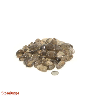 Smoky Quartz A Tumbled Stones X-Small   from Stonebridge Imports