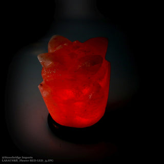 USB Salt Lamp - Flower    from Stonebridge Imports