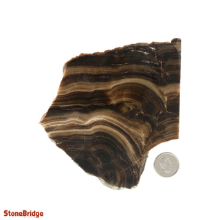Calcite Chocolate Slice #2    from Stonebridge Imports