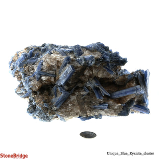 Blue Kyanite Cluster U#1    from Stonebridge Imports