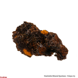 Descloizite Mineral Specimen U#3 - 3 3/4"    from Stonebridge Imports