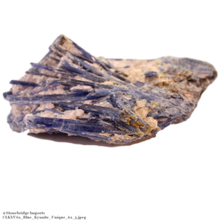 Blue Kyanite Cluster U#61    from Stonebridge Imports