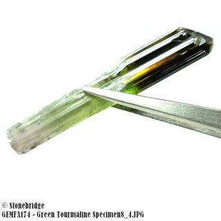 Green Tourmaline Specimen Lot #1 - termination #8    from Stonebridge Imports