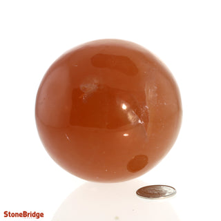 Calcite Honey Sphere - Medium #2 - 2 3/4"    from Stonebridge Imports