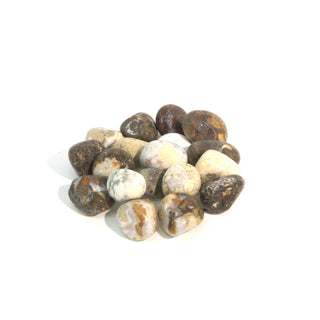 Orbicular Jasper Tumbled Stones - India Medium   from Stonebridge Imports