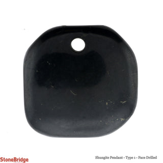 Shungite Pendant - Type 1 - Face Drilled    from Stonebridge Imports