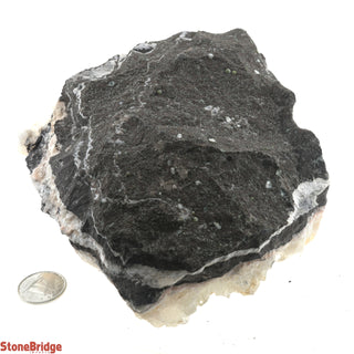 Zeolite on Basalt Cluster - APOPHYLLITE & STILBITE U#57    from Stonebridge Imports