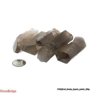 Smoky Quartz E Points - Medium    from Stonebridge Imports