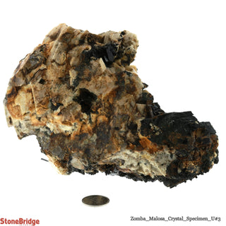 Aegirine with Orthoclase/ Zomba Malosa U#3 - 6 1/4"    from Stonebridge Imports
