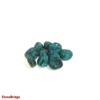 Chrysocolla E Tumbled Stones Small   from Stonebridge Imports