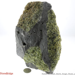 Peridot in Basalt Matrix Rough Chunk #3 - 4" to 9"    from Stonebridge Imports