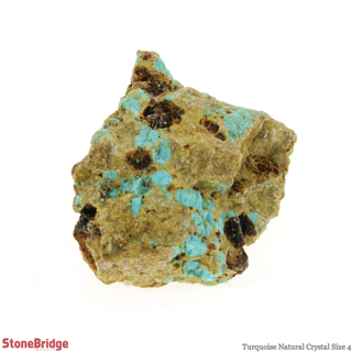 Turquoise Natural Crystal #4 - 1 1/4" to 2"    from Stonebridge Imports
