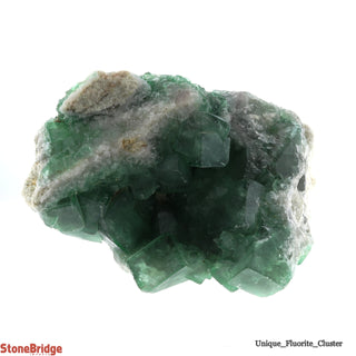 Fluorite Terminated Cluster U#6 - 5 3/4"    from Stonebridge Imports