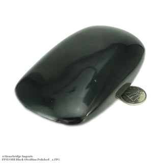 Obsidian Black Palm Stones    from Stonebridge Imports