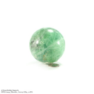 Fluorite Green Sphere - Small #4 - 2 1/2"    from Stonebridge Imports