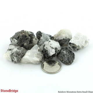 Moonstone Rainbow Chips - Extra Small    from Stonebridge Imports