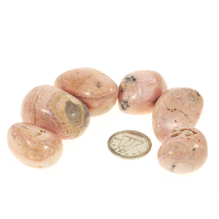 Rhodochrosite A Tumbled Stones    from Stonebridge Imports