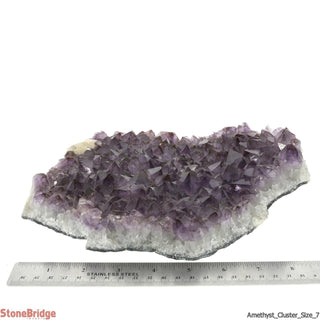 Amethyst Clusters #8 - 8" to 9"    from Stonebridge Imports