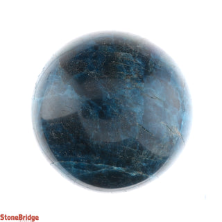 Apatite Blue Sphere - Small #1 - 2 1/4"    from Stonebridge Imports