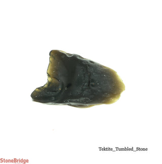 Tektite Tumble Stone #1 - Single Piece    from Stonebridge Imports