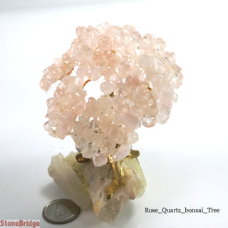 Rose Quartz Chips Bonsai Tree Small 3"    from Stonebridge Imports