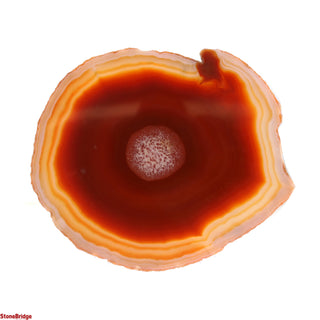 Agate Slices - 4 1/2" to 6"    from Stonebridge Imports