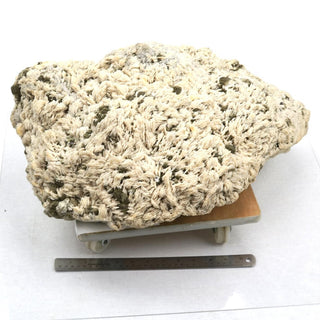 Albite Stone Specimen Cleavelandite U#21    from Stonebridge Imports