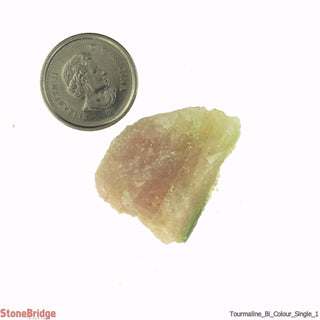 Tourmaline Bi Colour - Single Piece    from Stonebridge Imports