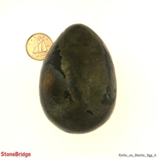 Pyrite On Matrix Egg #6 - 2 3/8" to 3"    from Stonebridge Imports