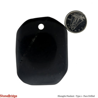 Shungite Pendant - Type 1 - Face Drilled    from Stonebridge Imports