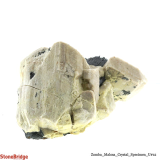 Orthoclase with Aegirine/ Zomba Malosa U#12    from Stonebridge Imports