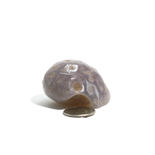 Enhydro Agate Geodes - 2"    from Stonebridge Imports