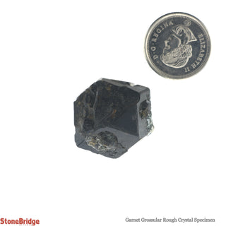 Garnet Grossular Rough Crystal Specimen #1 - 10g to 20g    from Stonebridge Imports
