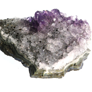 Amethyst Druze Cluster #1 (100g to 199g, 2" to 5")    from Stonebridge Imports