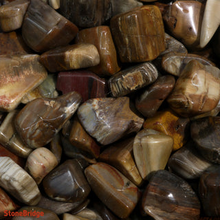 Petrified Wood Tumbled Stones - Madagascar    from Stonebridge Imports