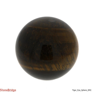 Tiger Eye Sphere - Small #2 - 2 1/4"    from Stonebridge Imports