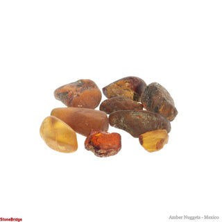 Amber Nuggets - Mexico - 10g Bag    from Stonebridge Imports