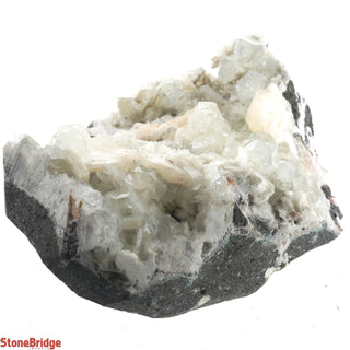 Zeolite on Basalt Cluster - APOPHYLLITE & STILBITE U#73    from Stonebridge Imports