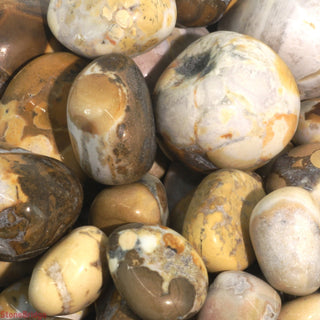 Orbicular Jasper Tumbled Stones - India    from Stonebridge Imports