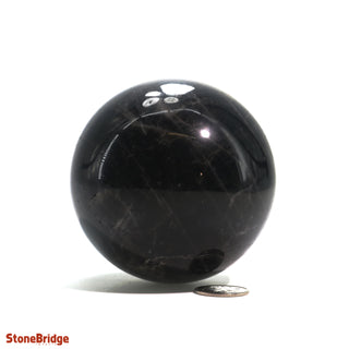 Smoky Quartz Dark Sphere - Medium #2 - 2 3/4"    from Stonebridge Imports