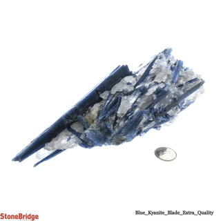 Blue Kyanite E Cluster #7    from Stonebridge Imports