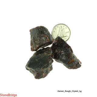 Garnet Rough Crystals 45 to 65g Bag - Large - 1 to 5 pieces    from Stonebridge Imports