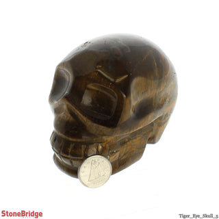 Tiger Eye Skull #5    from Stonebridge Imports