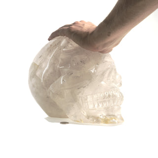 Life Size Skull U#31    from Stonebridge Imports