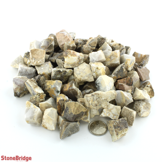 Orbicular Jasper Chips - Extra Small    from Stonebridge Imports