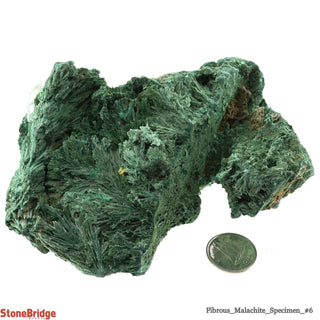 Fibrous Malachite Crystal #6 - 300g to 400g    from Stonebridge Imports