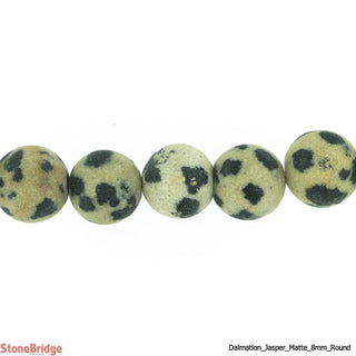 Dalmatian Jasper Matte - Round Strand 15" - 6mm    from Stonebridge Imports
