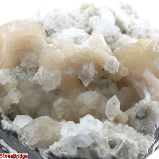 Zeolite on Basalt Cluster - APOPHYLLITE & STILBITE U#81    from Stonebridge Imports