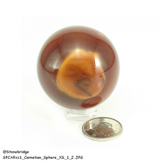 Carnelian Sphere - Extra Small #1 - 1 1/2"    from Stonebridge Imports
